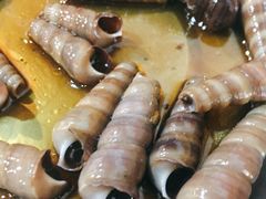 -陈氏肥蛤(小纬六路总店)