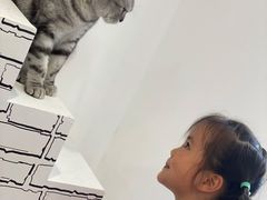 -白夜2D咖啡馆