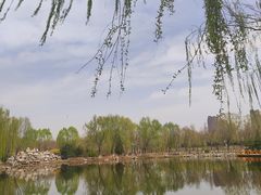 -东升八家郊野公园