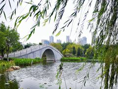-映月湖公园