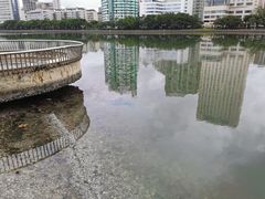 -白鹭洲公园