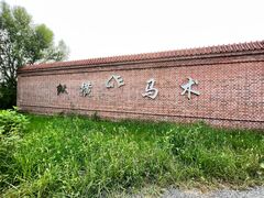 -北京群众马术培训基地