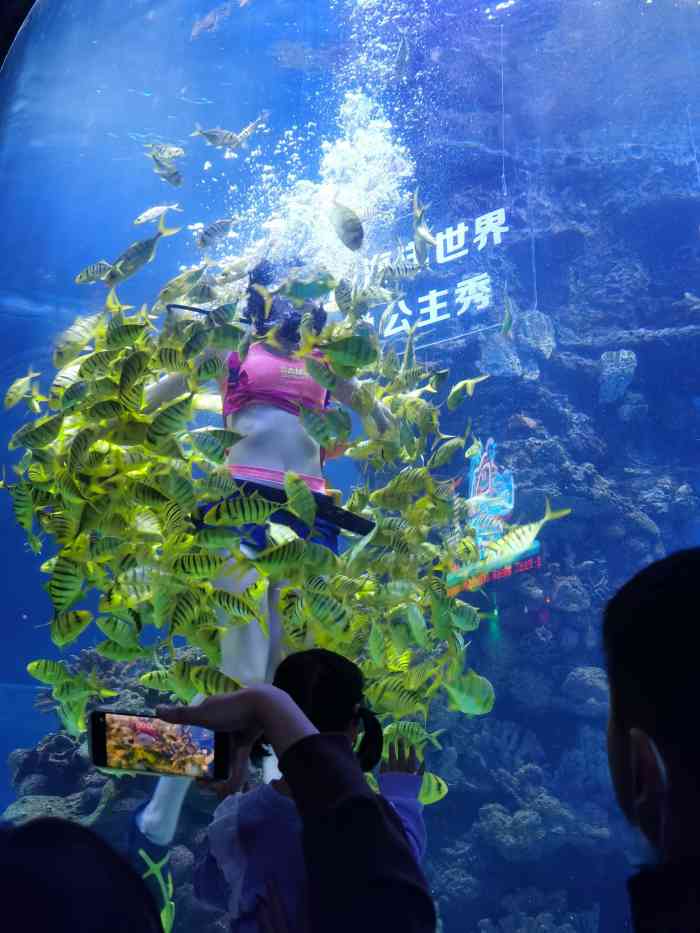 武汉东湖海洋世界