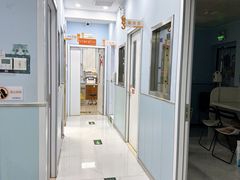 -纳吉亚猫专科动物诊疗中心(蒋宅口分院)