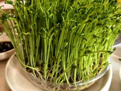 -三旗百汇商品城