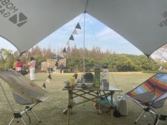 -上海滨江森林公园