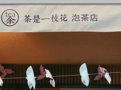 -茶是一枝花泡茶店