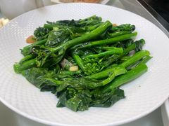 姜汁炒芥兰-朱仔记食府(江南大道店)