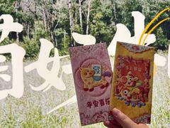 -楠小云·云南鲜菌·鲜牛自助火锅(九眼桥店)