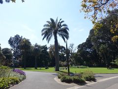 -墨尔本皇家植物园