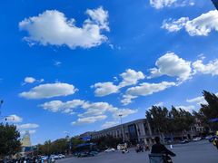 -老板恋上鱼(印象城店)