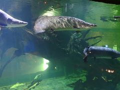 -华夏文旅海洋公园