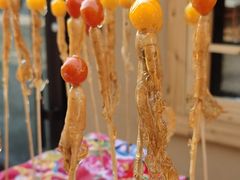 -长春市南湖公园