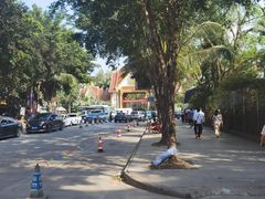 -西双版纳傣族园