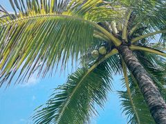 -白沙门生态公园