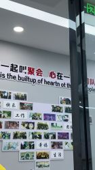 -悟空祛痘·诺奖技术专业店