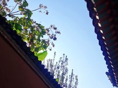 -西安市广仁寺
