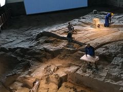 -自贡恐龙博物馆