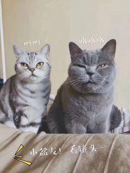 点击看大图 -艺匠摄影ARTIZ STUDIO(南京店)