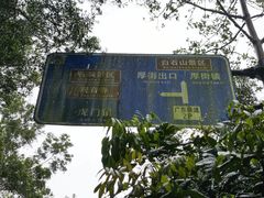 -东莞市大岭山森林公园