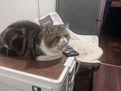 -参差咖啡(水果湖公园店)