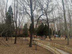 -森林公园(尖草坪区)