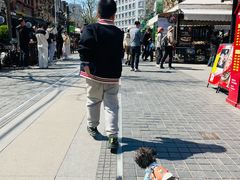 -瑞派宠物医院·犬猫全科·猫友好(宾水西道店)