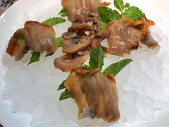 -小海丁