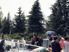 -洛阳郁金香牡丹园