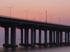 -宝安西湾红树林湿地公园