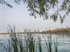 -长春市南湖公园