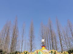 -东平国家森林公园