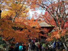 -常寂光寺