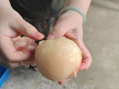 -老袁家蜜桃农场·阳山水蜜桃