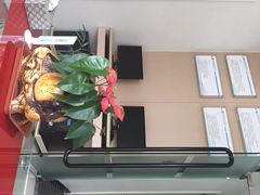 -深圳张智勇口腔诊所