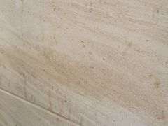 -巴陵全鱼席(湖南老字号汴河街店 )