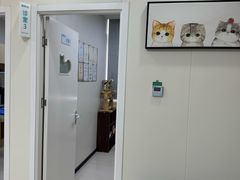 -美联众合动物医院·24h京西诊疗中心