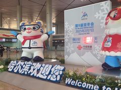 -哈尔滨太平国际机场-T2航站楼