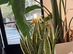 -Fridi Patisserie Cafe