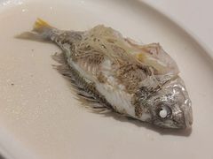 -花城苑广府菜(侨鑫店)