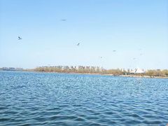 -丁香湖公园