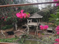 -长鹿旅游休博园