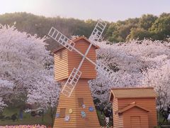 -苏州上方山国家森林公园