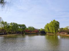 -西安浐灞国家湿地公园