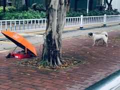 -FALANC CAKE生日蛋糕(广州店)