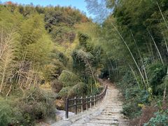 -四明山国家森林公园
