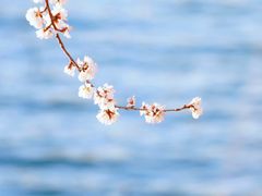 -颐和园