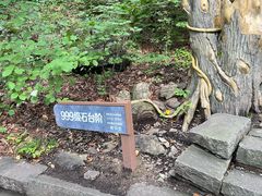 -五女山景区
