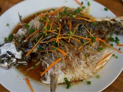 -悠悠美食
