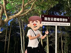 -云碧峰国家森林公园